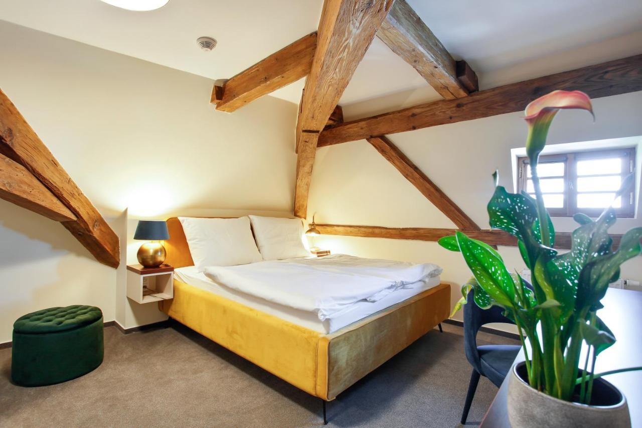 Castle Hotel & Wellness Poděbrady エクステリア 写真