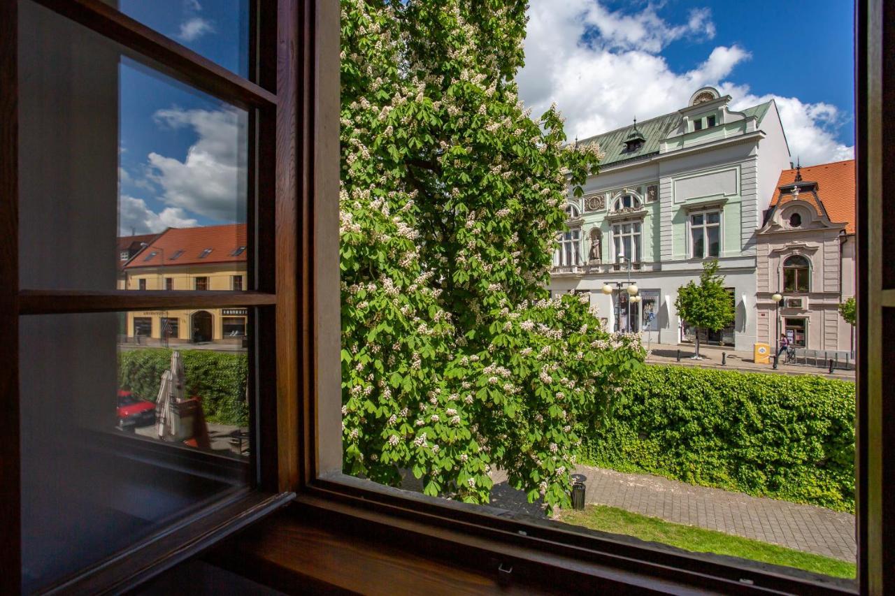 Castle Hotel & Wellness Poděbrady エクステリア 写真